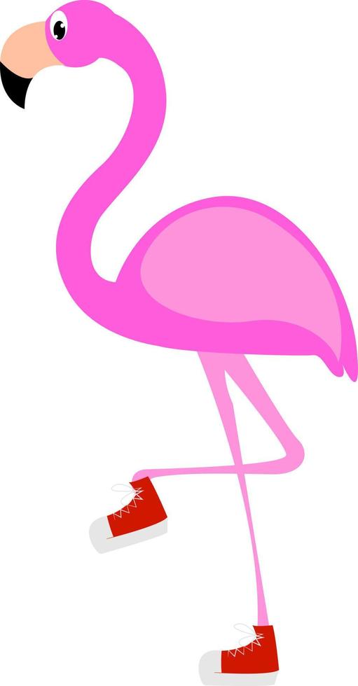 flamant rose, illustration, vecteur sur fond blanc.