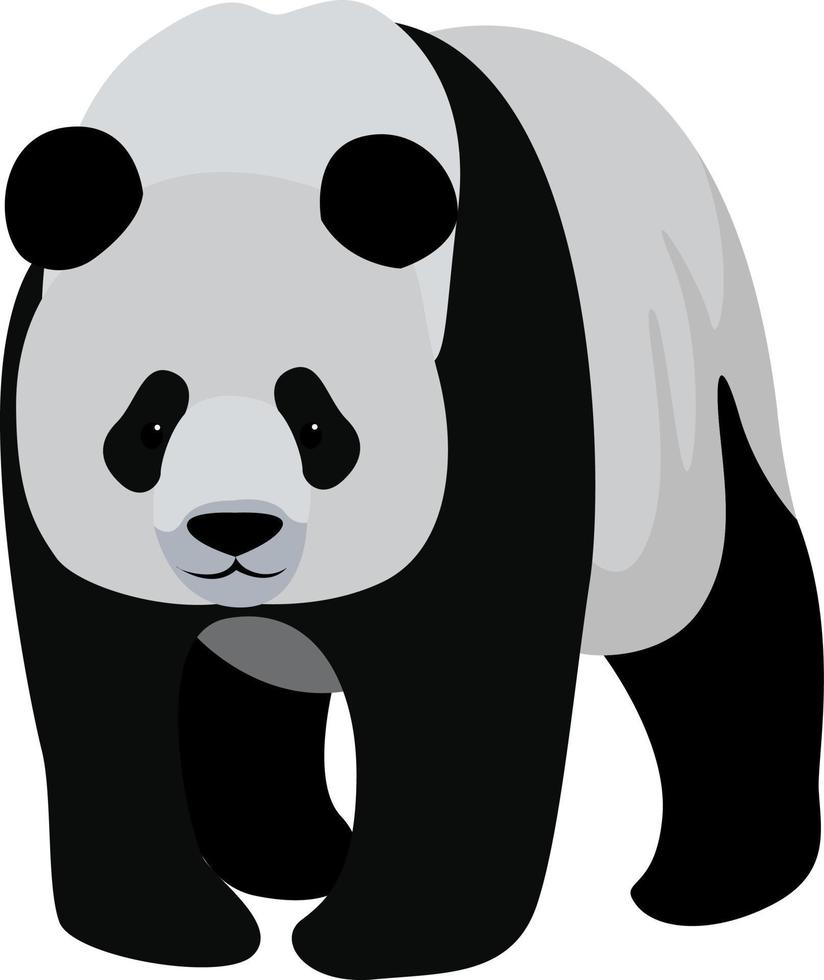 grand panda, illustration, vecteur sur fond blanc