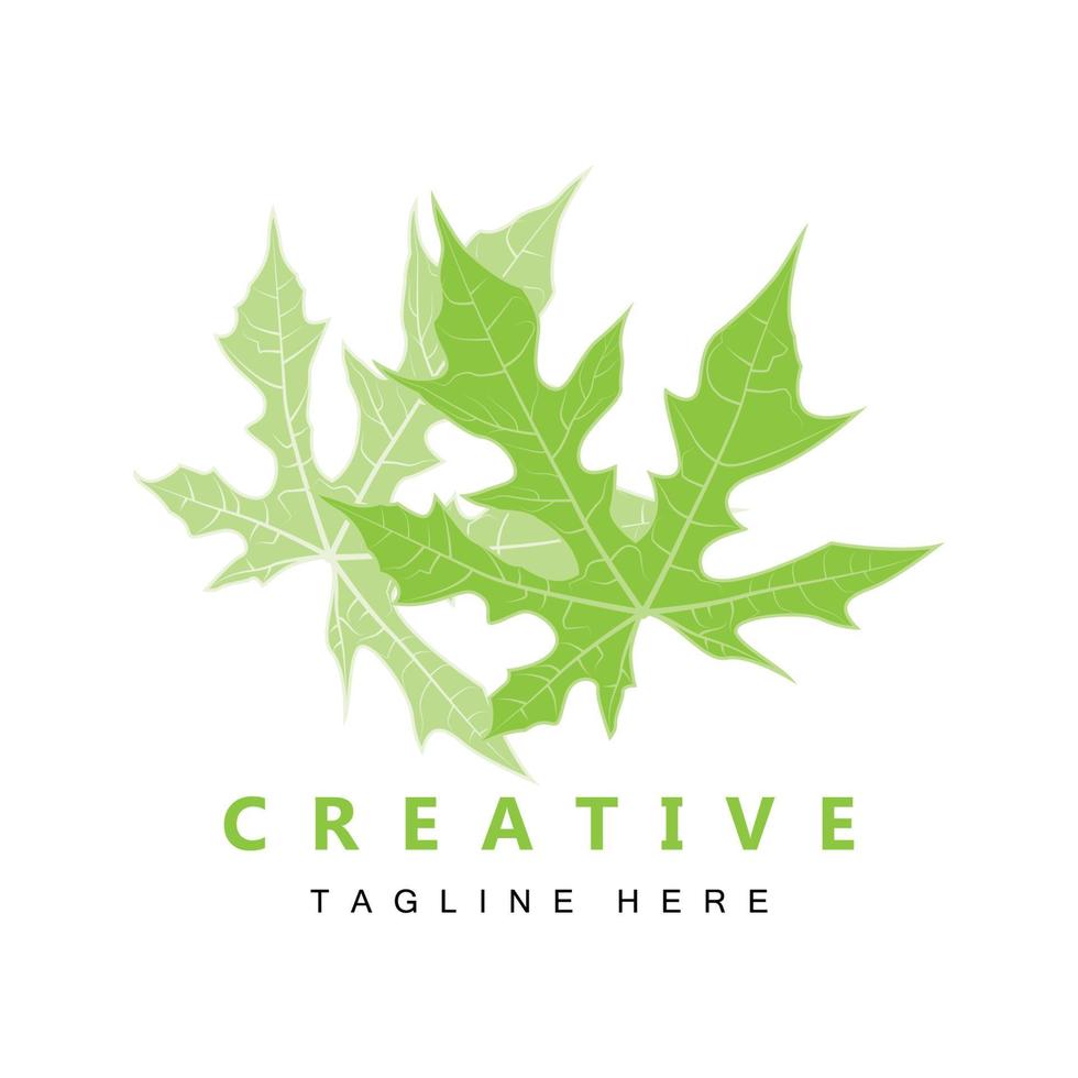 logo de feuille, vecteur de plante verte, vecteur d'arbre, illustration de marque de produit
