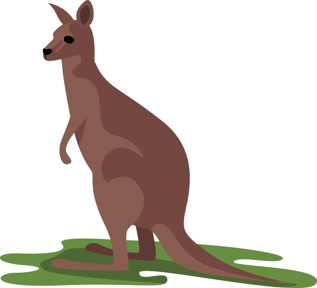 Animal kangourou, illustration, vecteur sur fond blanc
