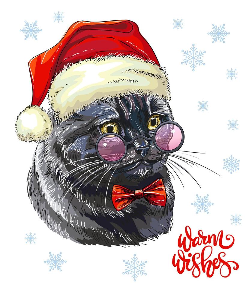 vecteur de chat de noël 11