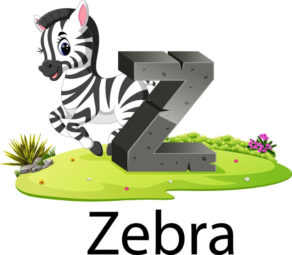 alphabet animal de zoo mignon z pour zèbre avec la bonne animation à côté vecteur