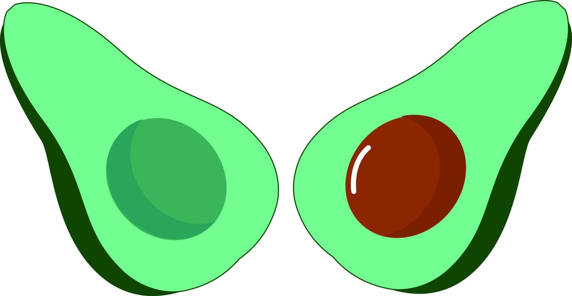 avocat coupé en deux, illustration, vecteur sur fond blanc.