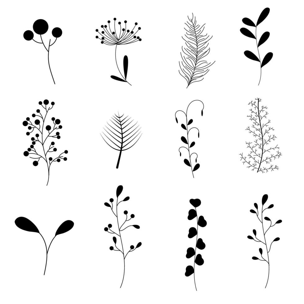 collection de plantes silhouette dessinée à la main. dessin à la main du contour des fleurs vecteur
