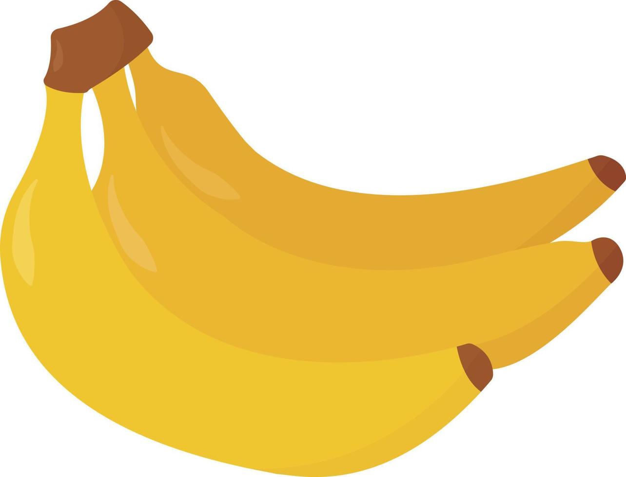 bananes fraîches, illustration, vecteur sur fond blanc.