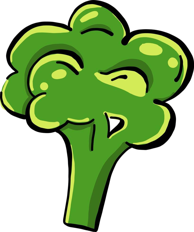 brocoli frais, illustration, vecteur sur fond blanc.