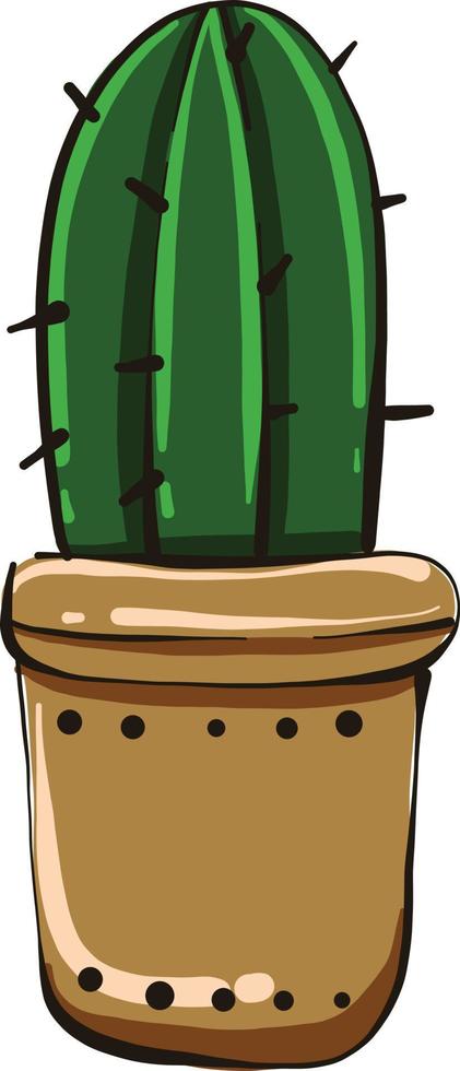 gros cactus, illustration, vecteur sur fond blanc.