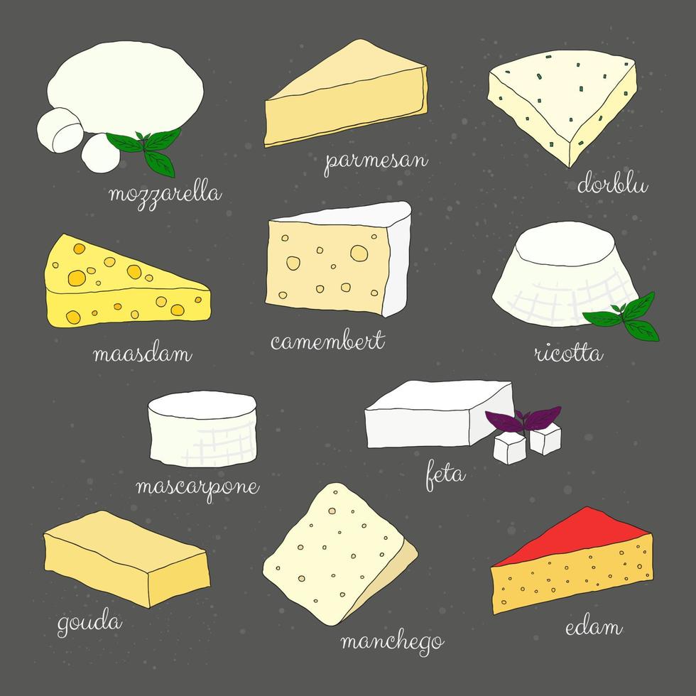 fromage dessiné à la main. vecteur