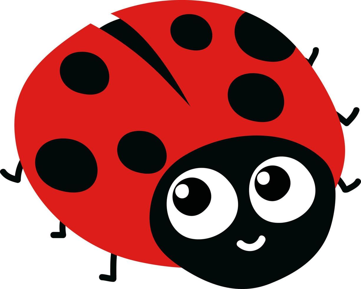 coccinelle mignonne, illustration, vecteur sur fond blanc