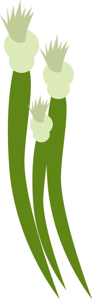 oignon vert, illustration, vecteur, sur fond blanc. vecteur