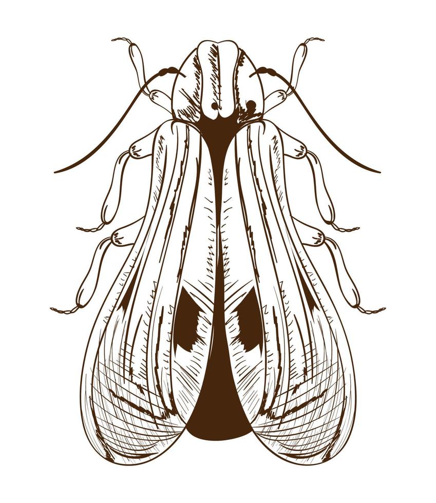 vecteur de bogue isolé