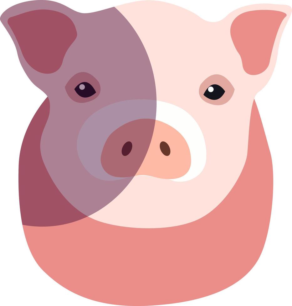 cochon rose, illustration, vecteur sur fond blanc.