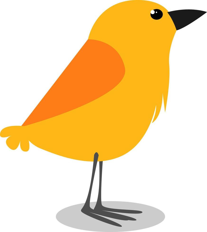oiseau jaune, illustration, vecteur sur fond blanc.