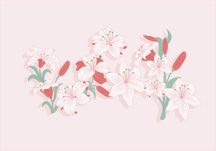 Pâques Lily Vector