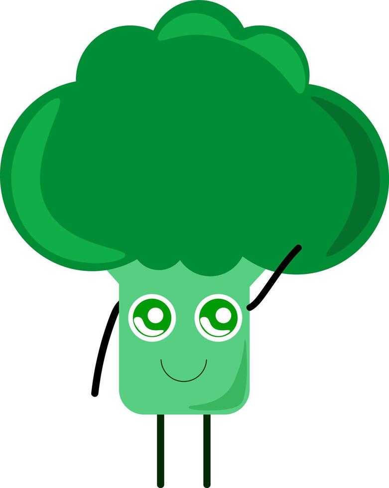 brocoli vert, illustration, vecteur sur fond blanc.