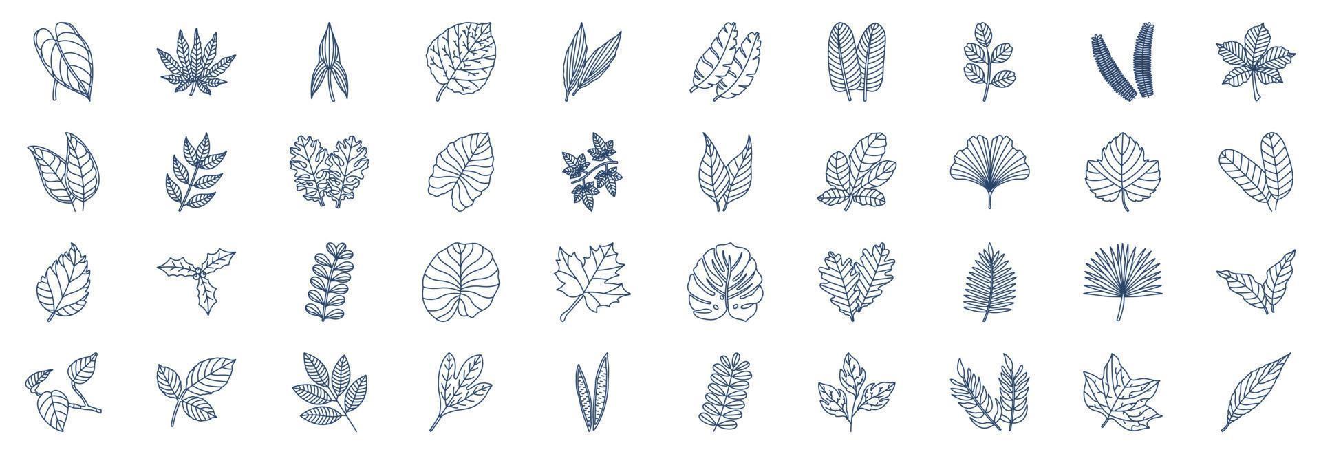 collection d'icônes liées aux feuilles, y compris des icônes comme l'anthurium, l'aralia, l'aspidistra, la châtaigne, les agrumes et plus encore. illustrations vectorielles, ensemble parfait de pixels vecteur