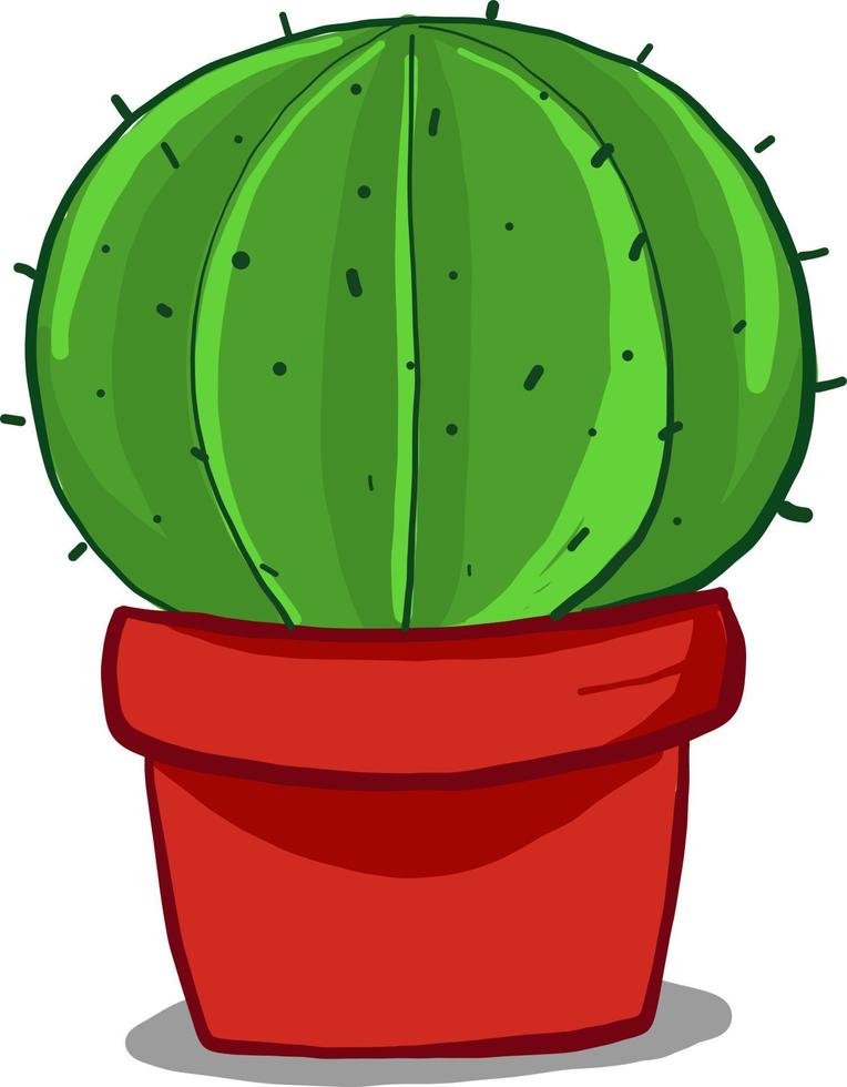 Cactus rond en pot , illustration, vecteur sur fond blanc