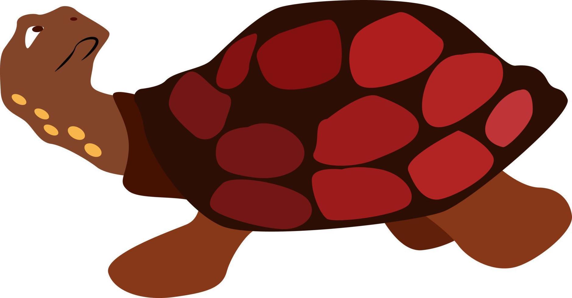 Tortue rouge, illustration, vecteur sur fond blanc.