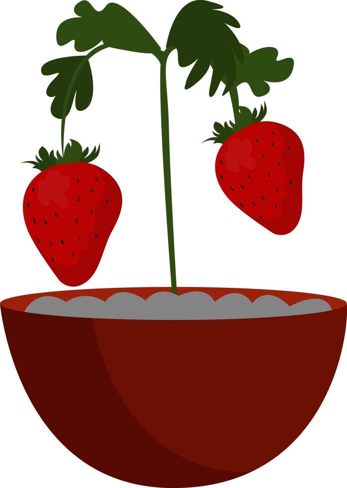 Fraises maison, illustration, vecteur sur fond blanc