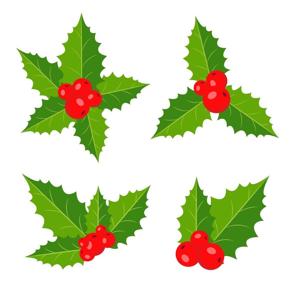 houx, branches avec baies et feuilles. jeu de gui. décorations de Noël. illustration vectorielle. vecteur