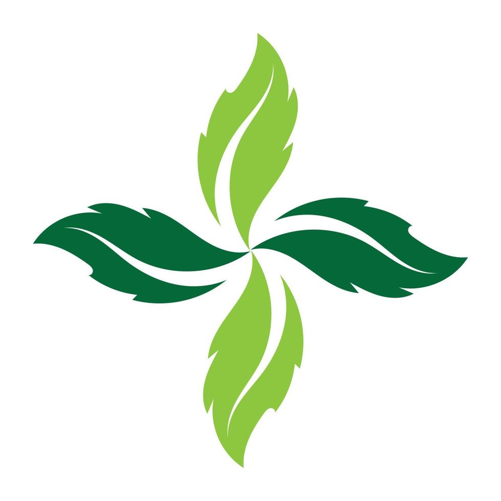 conception d'ornement vert feuille et modèle de vecteur de symbole