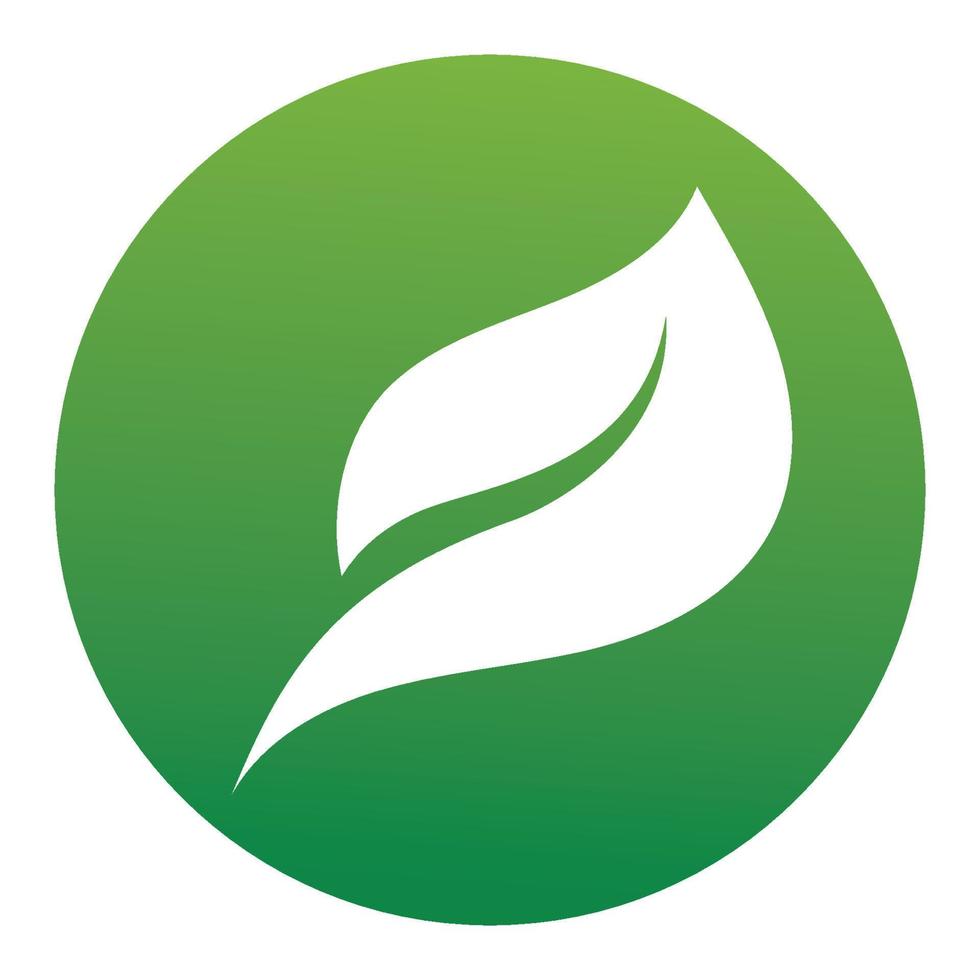 feuille verte logo et symbole vecteur