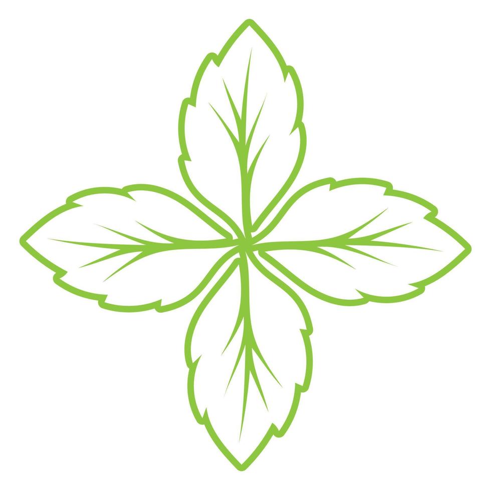 conception d'ornement vert feuille et modèle de vecteur de symbole