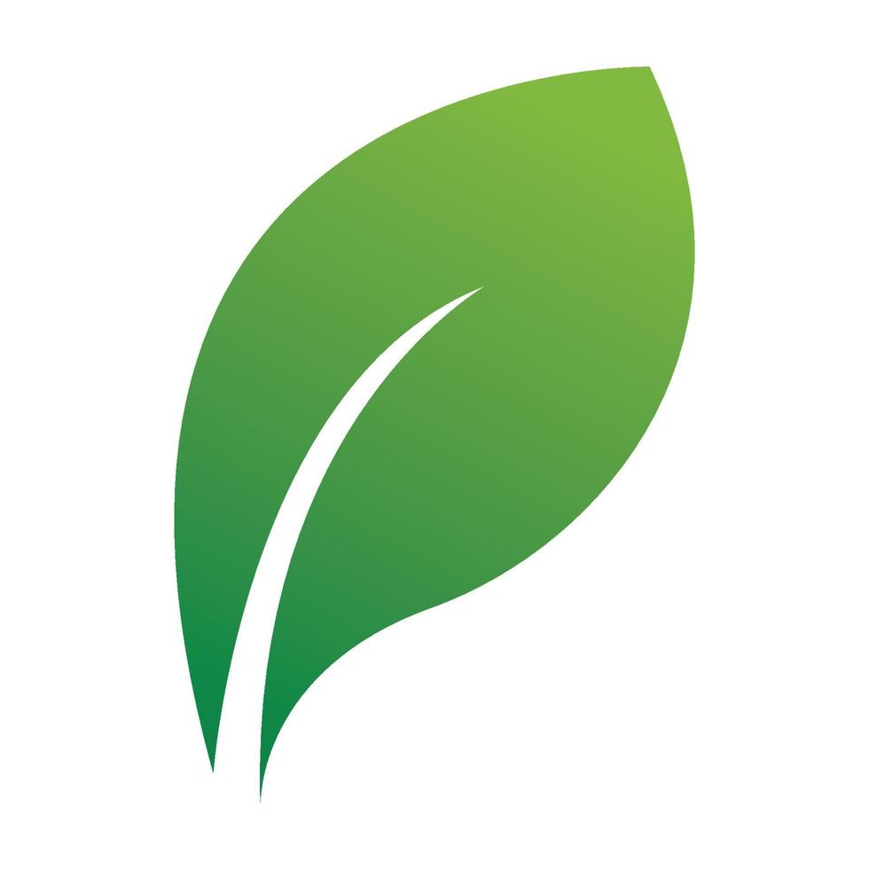 feuille verte logo et symbole vecteur