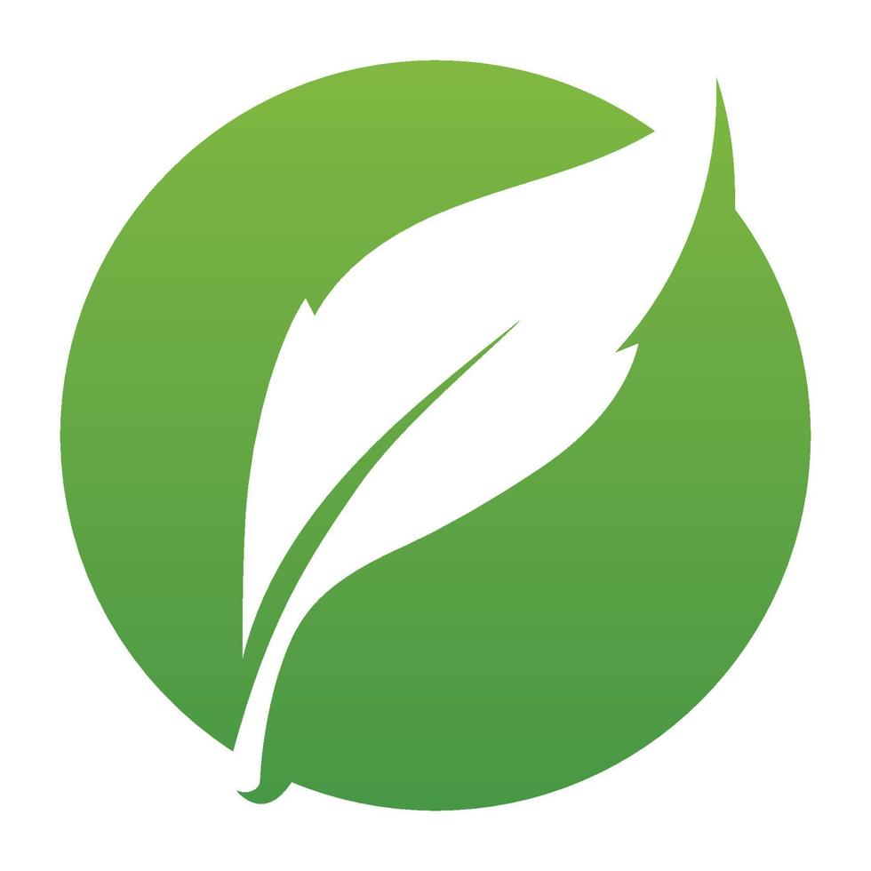 feuille verte logo et symbole vecteur