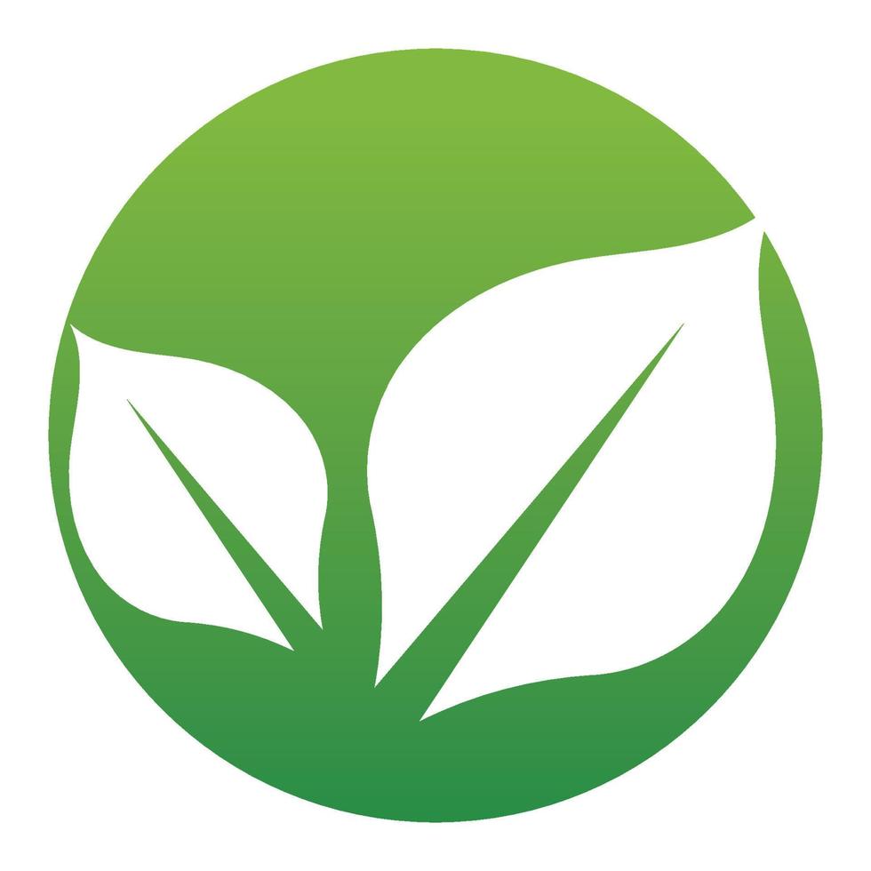 feuille verte logo et symbole vecteur