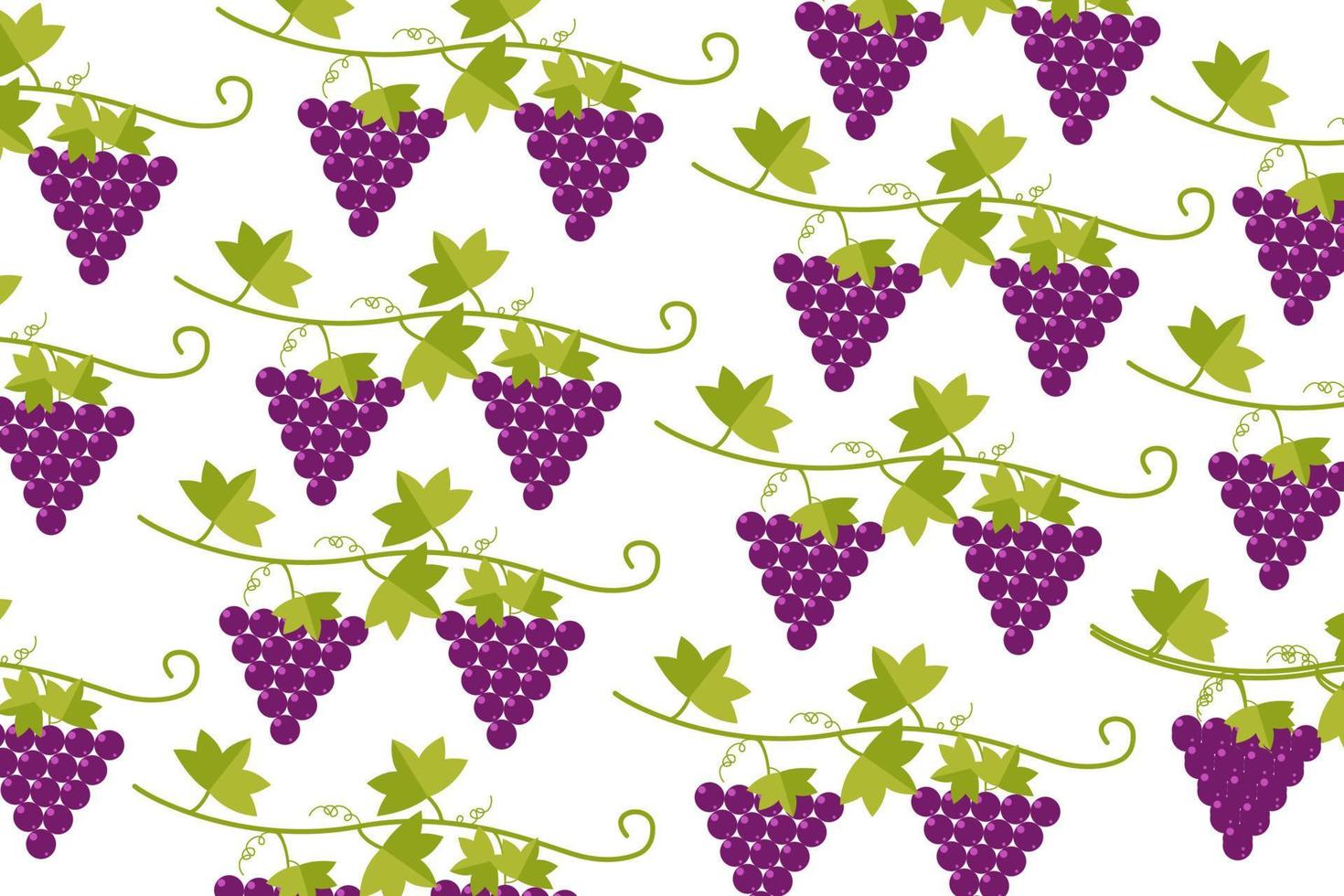 conception de raisins motif de baies violettes sans vecteur