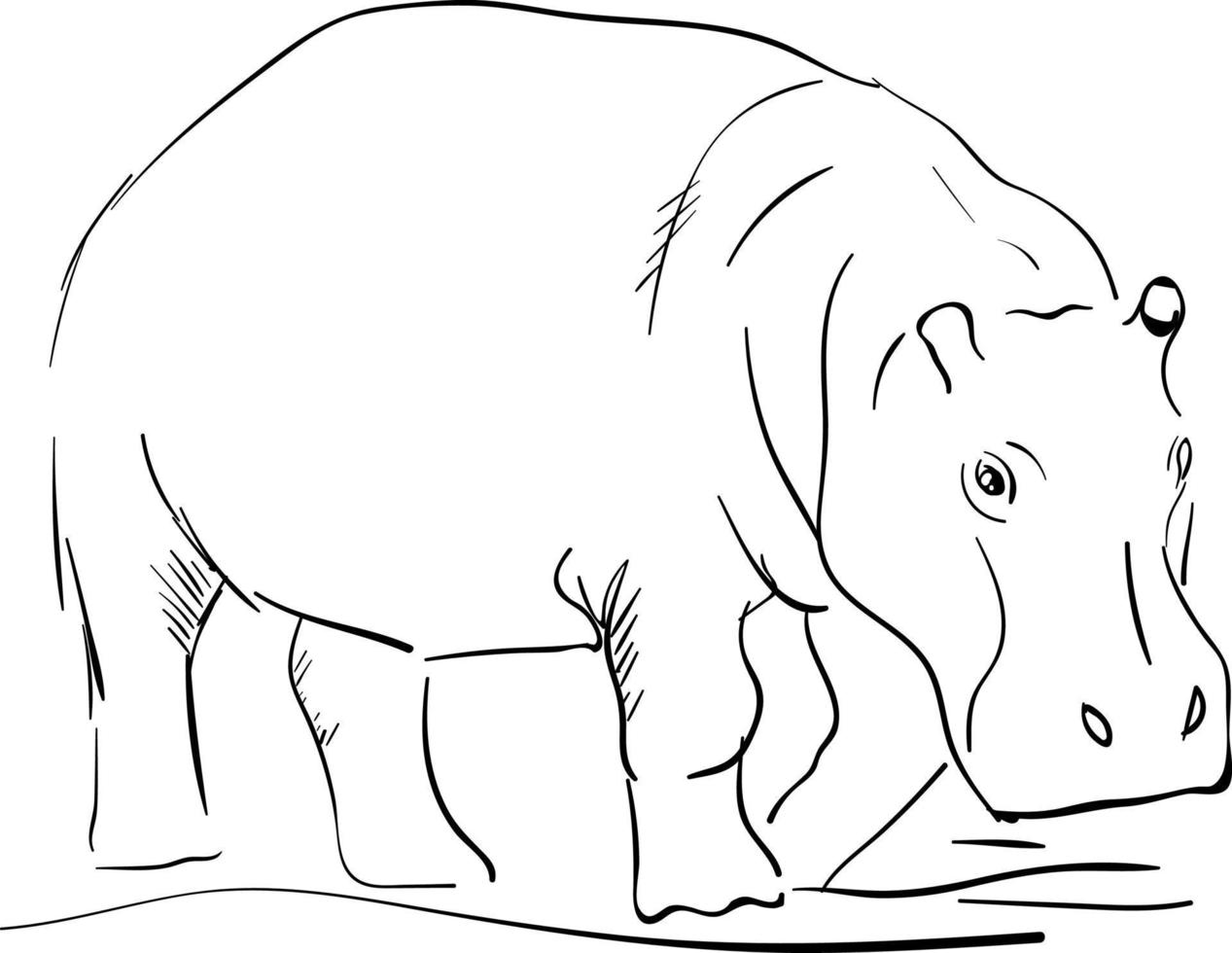 dessin d'hippopotame, illustration, vecteur sur fond blanc.