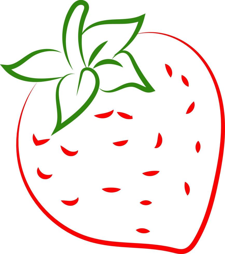 dessin de fraise, illustration, vecteur sur fond blanc.