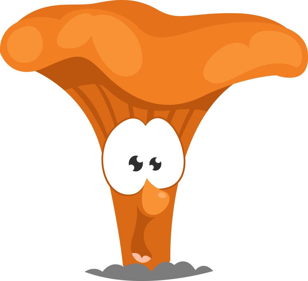 Champignon orange,illustration,vecteur sur fond blanc vecteur