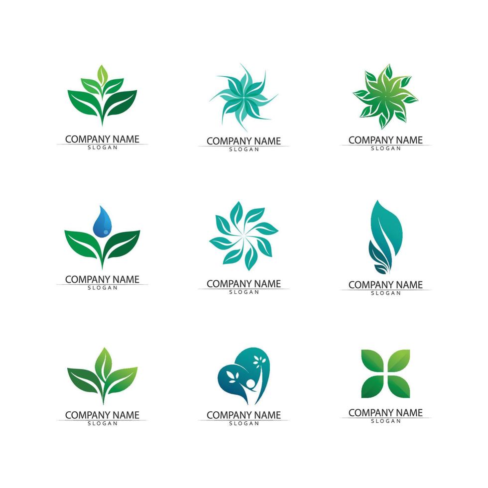 modèle de concept de logo de graines de plantes vector.logo de graines de plus en plus. vecteur