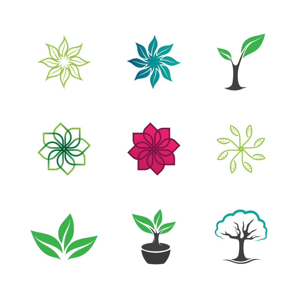 modèle de concept de logo de graines de plantes vector.logo de graines de plus en plus. vecteur