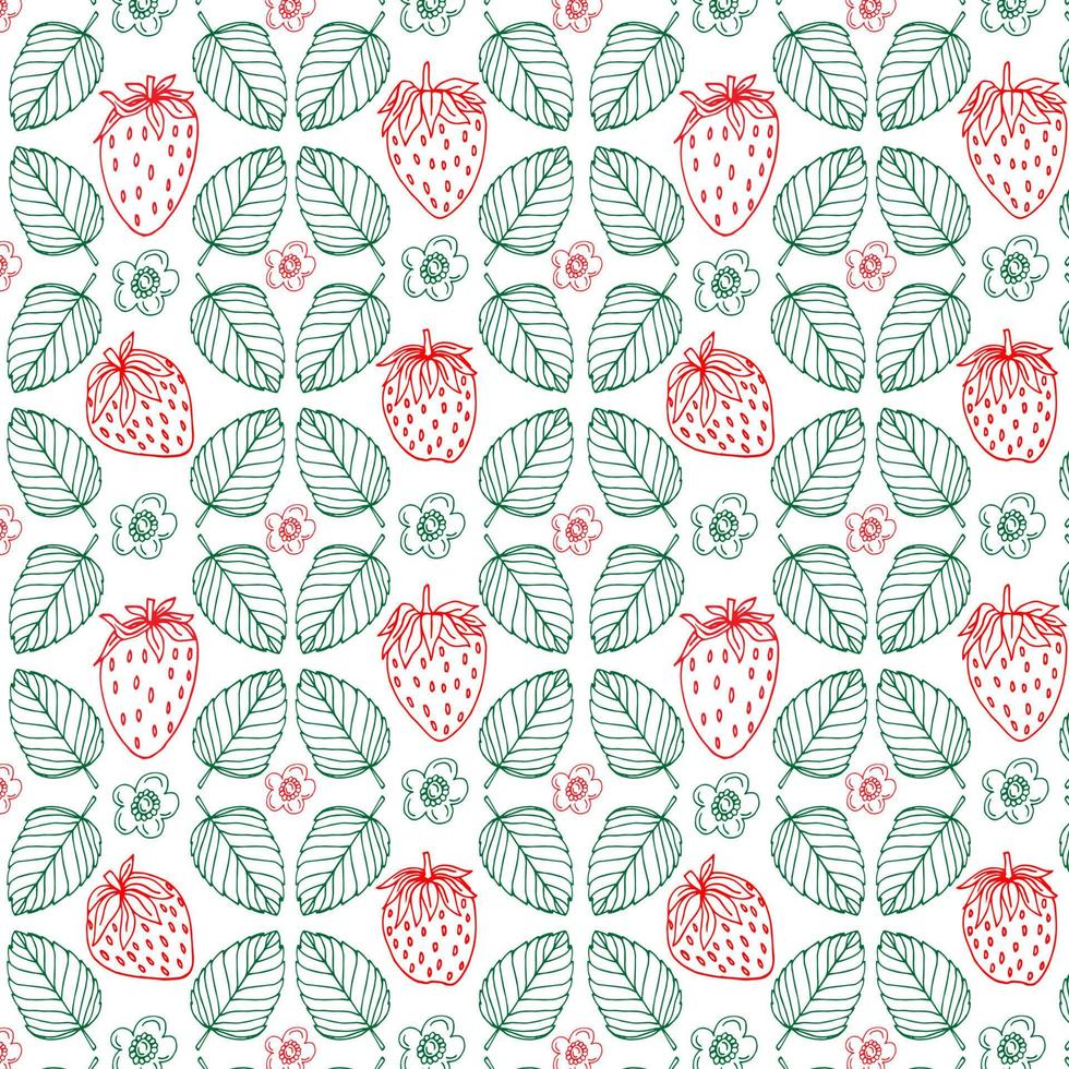 dessin de modèle de vecteur de fraise. baies et feuilles dessinées à la main isolées sur fond blanc. illustration de style gravé de fruits d'été. nourriture végétarienne détaillée.