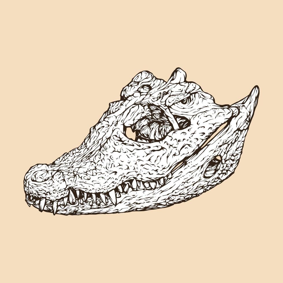 tête de crâne de crocodile nain africain illustration vectorielle vecteur