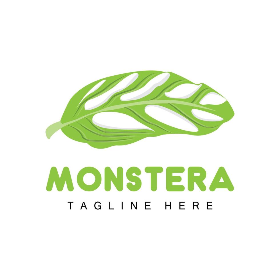 logo de feuille de monstera adansonii, vecteur de plante verte, vecteur d'arbre, illustration de feuille rare