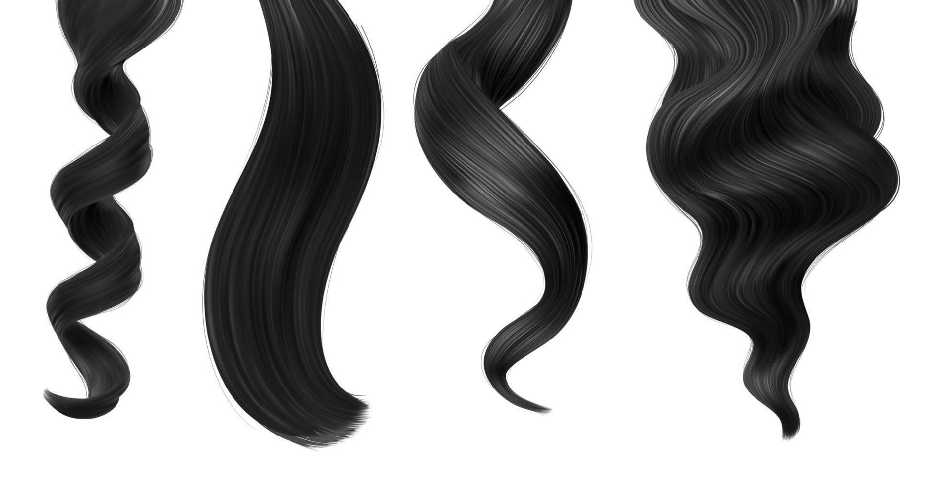 mèches de cheveux femme noire brillante, queue de cheval droite vecteur