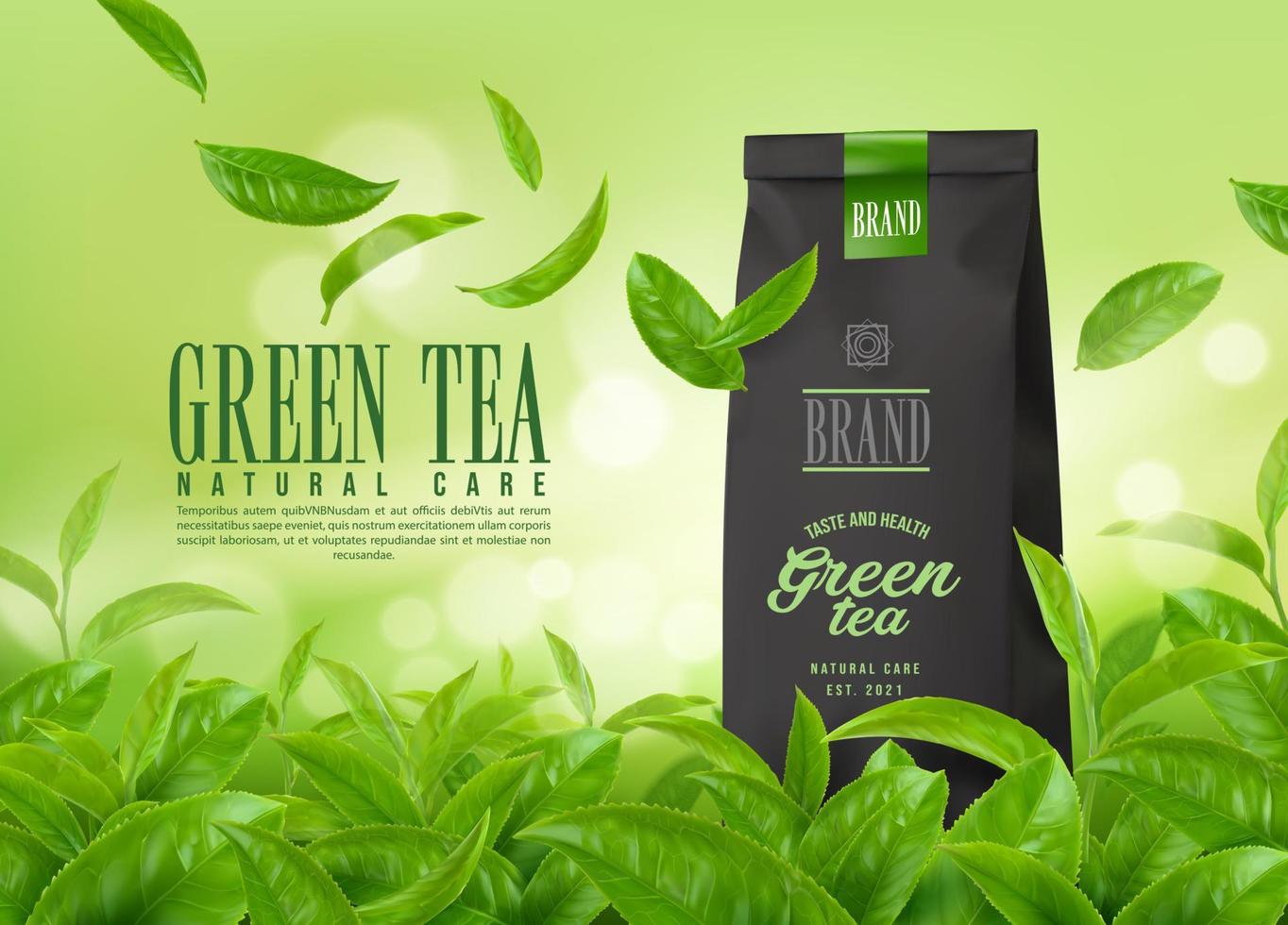 emballage de thé vert à base de plantes et plantation de thé vecteur
