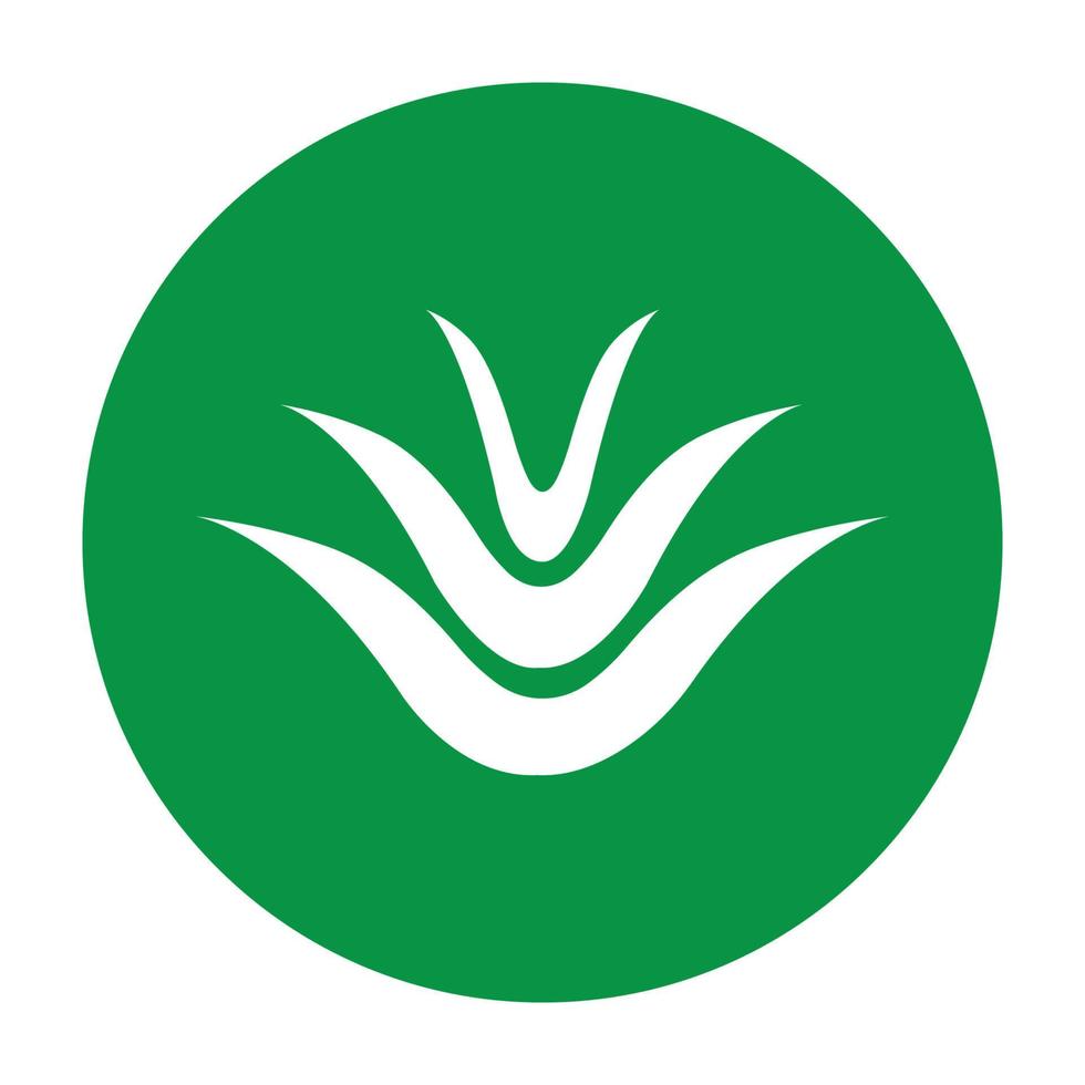 logo d'aloe vera vecteur