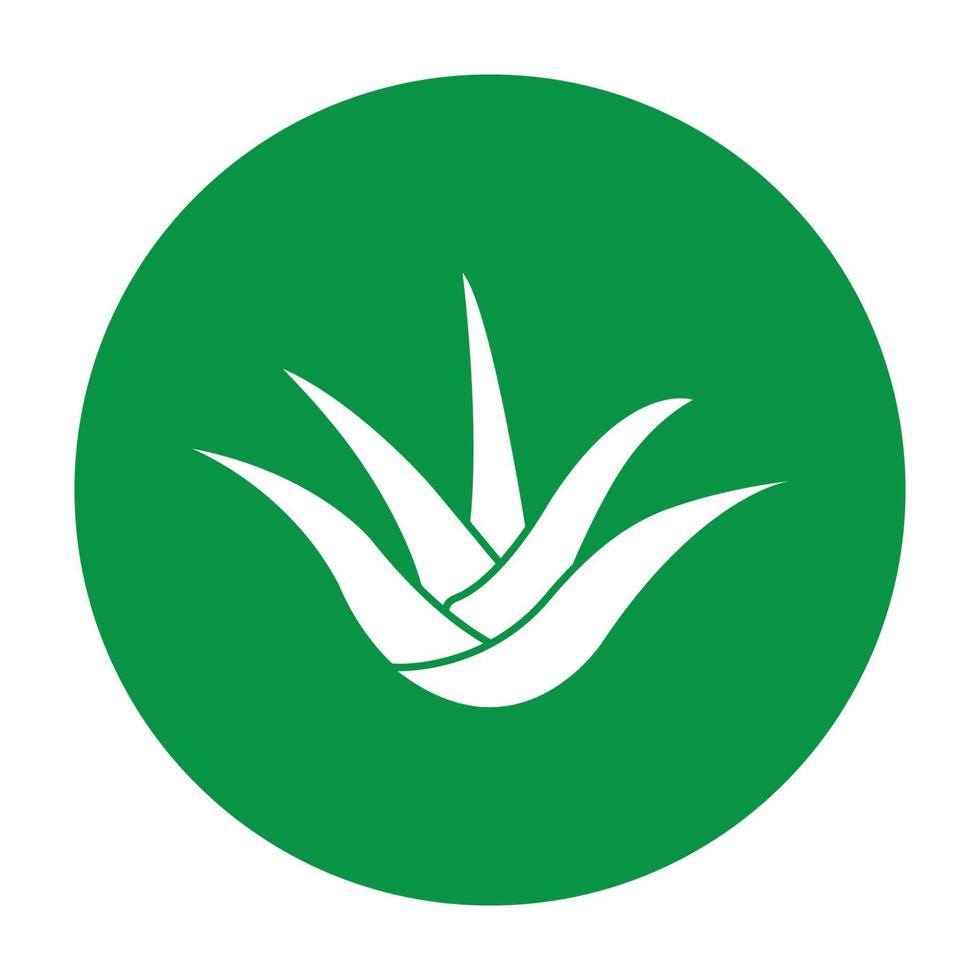 logo d'aloe vera vecteur