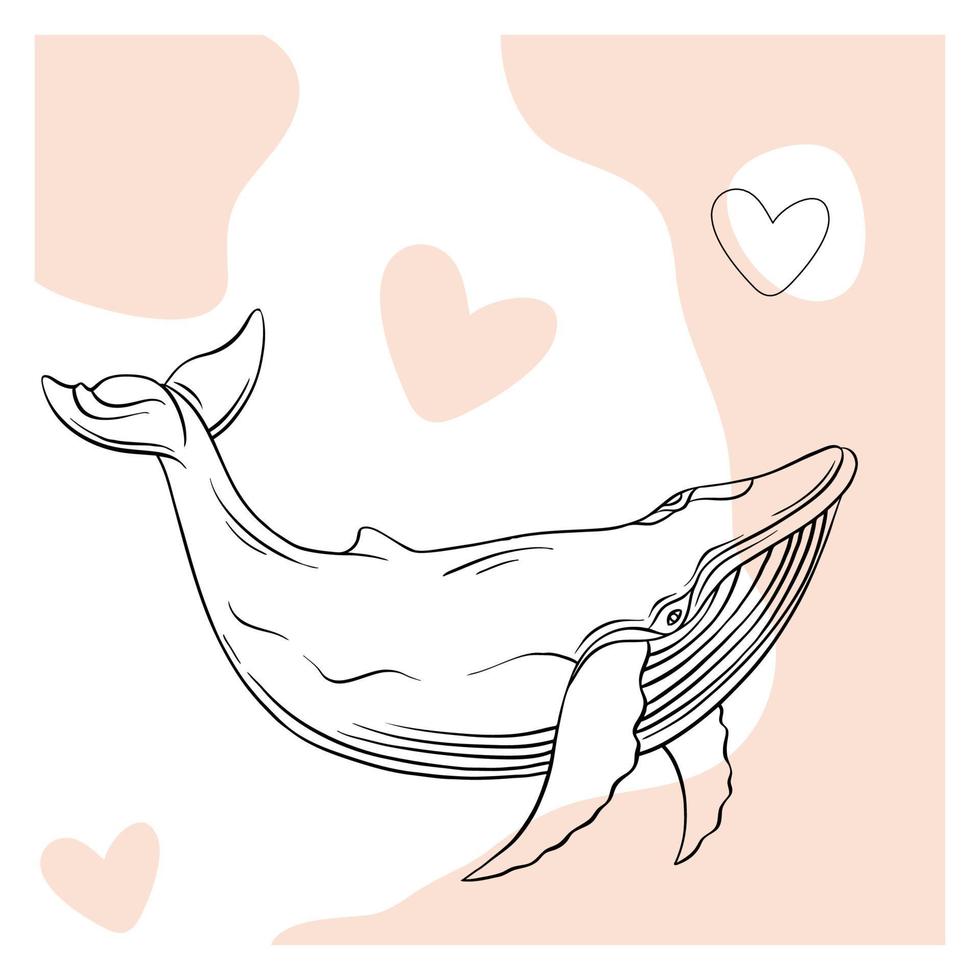 les baleines sont dessinées dans le style de l'art linéaire. illustration vectorielle sur fond blanc. cétacés à cœur vecteur