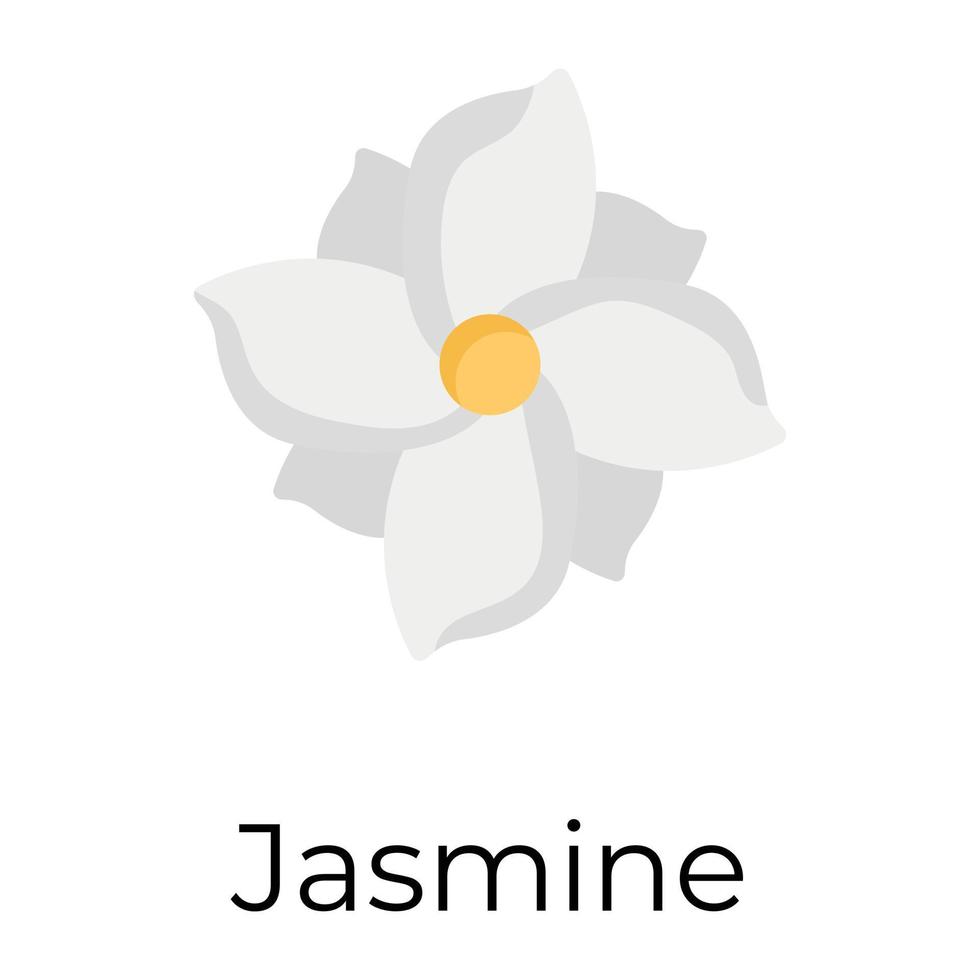 fleur de jasmin tendance vecteur