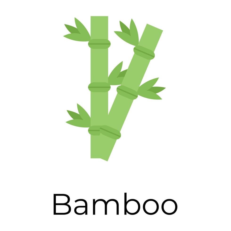 concepts de bambou à la mode vecteur