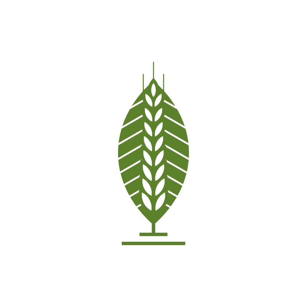 modèle de vecteur de conception de logo d'agriculture de grain de blé