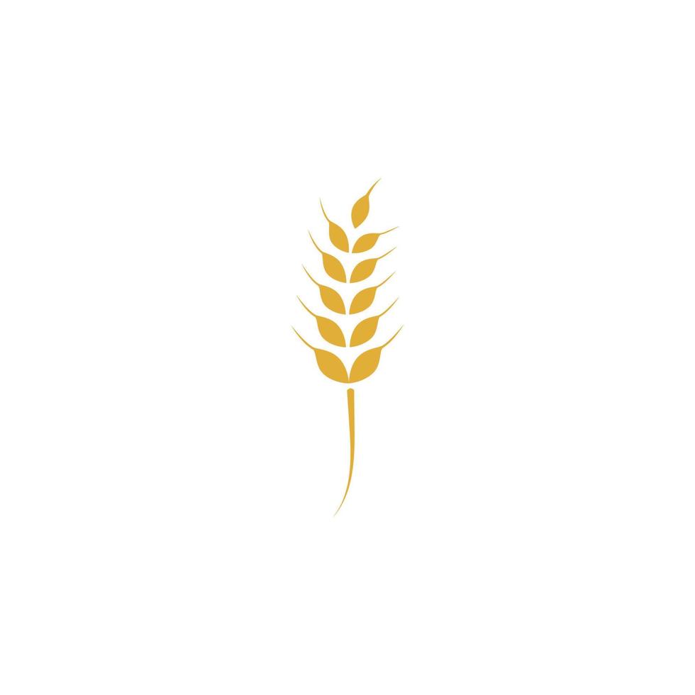 vecteur de modèle de logo de blé agricole