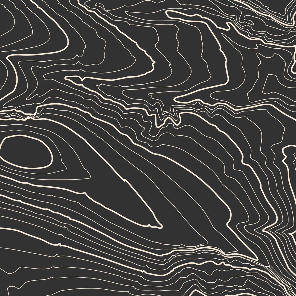 topographie vectorielle des contours gris. illustration vectorielle de topographie de montagne géographique. texture de motif topographique. carte sur terrain vectoriel terrestre. lignes de hauteur de contour graphique d'élévation. Carte topographique