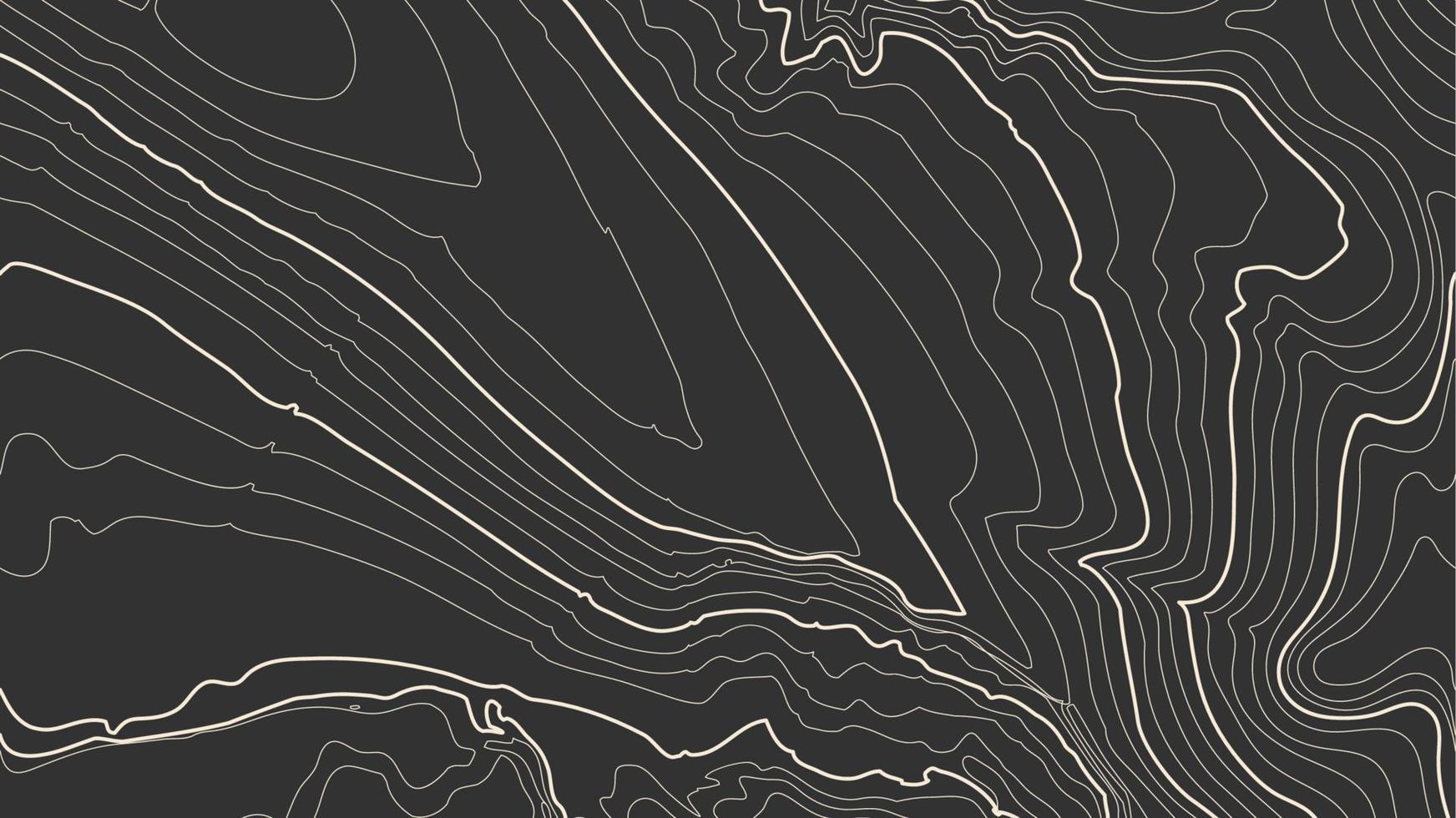 topographie vectorielle des contours gris. illustration vectorielle de topographie de montagne géographique. texture de motif topographique. carte sur terrain vectoriel terrestre. lignes de hauteur de contour graphique d'élévation. Carte topographique